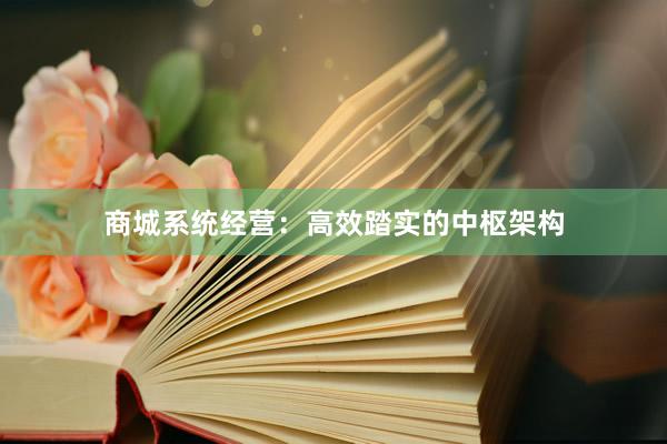 商城系统经营：高效踏实的中枢架构