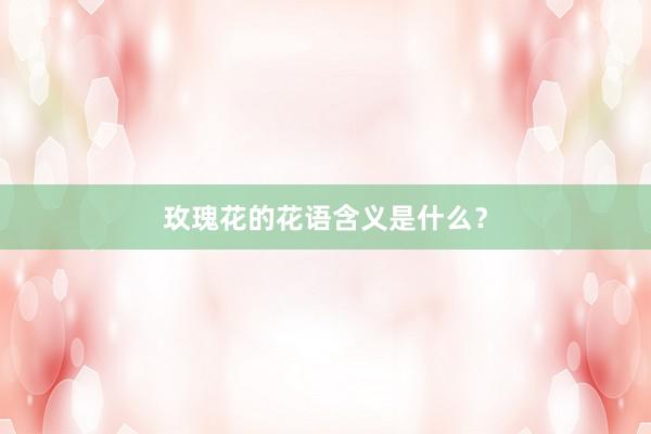 玫瑰花的花语含义是什么？