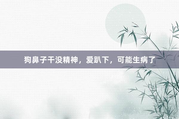 狗鼻子干没精神，爱趴下，可能生病了